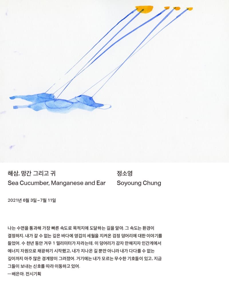 정소영 : 해삼, 망간 그리고 귀 전시 포스터