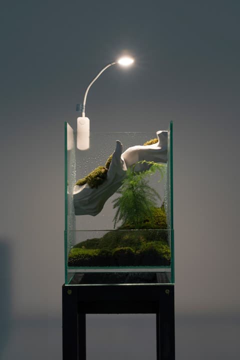 biotope · Mixed Media · 20 x 20 x 30cm · 2021 (출처= 홍티예술촌) · biotope · Mixed Media