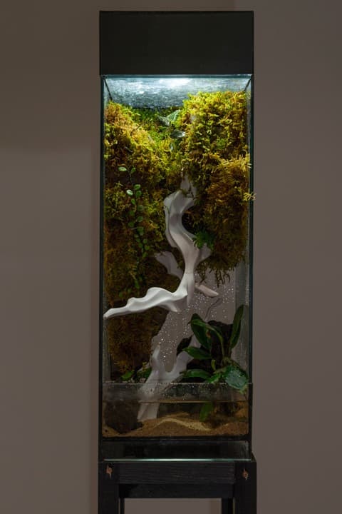 biotope · Mixed Media · 20 x 20 x 50cm · 2021 (출처= 홍티예술촌) · biotope · Mixed Media
