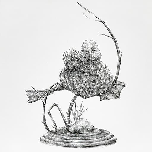새 박제 Bird Taxidermy #2 · 종이 판넬에 펜 · 25x25cm · 2021 (출처= 갤러리조선) · Bird Taxidermy #2