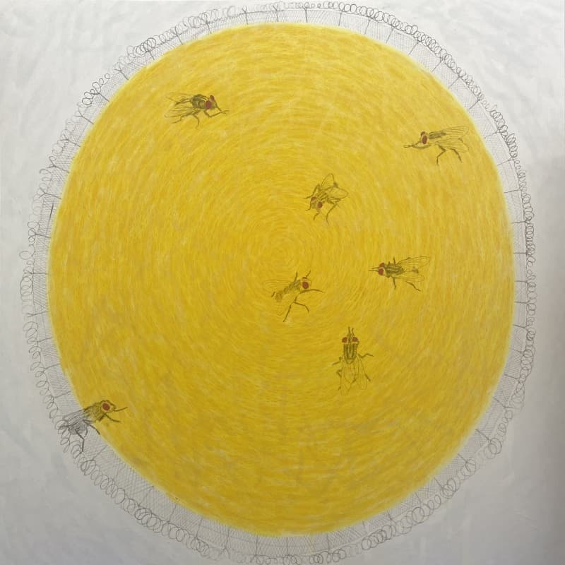 노른자 · 장지에 채색 · 130x130cm · 2021 (이미지 제공 = 갤러리 너트)
