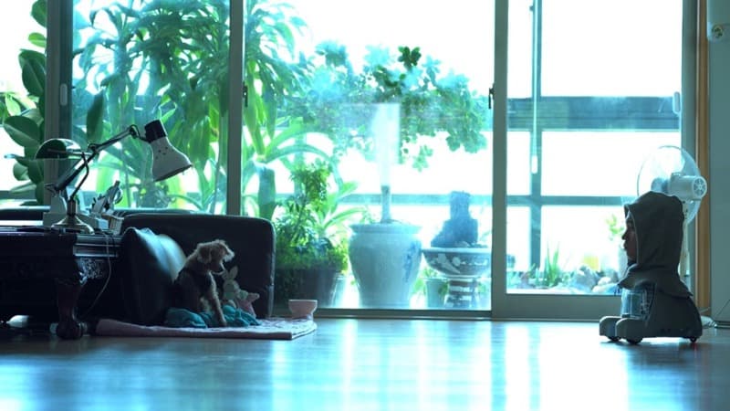 권동현+권세정, <세디: 도도와 만나는 방법> · single channel video · 15'08" · 2021 (이미지 제공 = 합정지구) · <Seddy: How to meet dodo> · single channel video