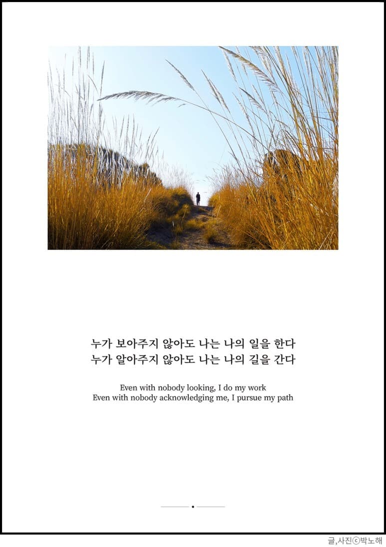 ⓒ박노해
