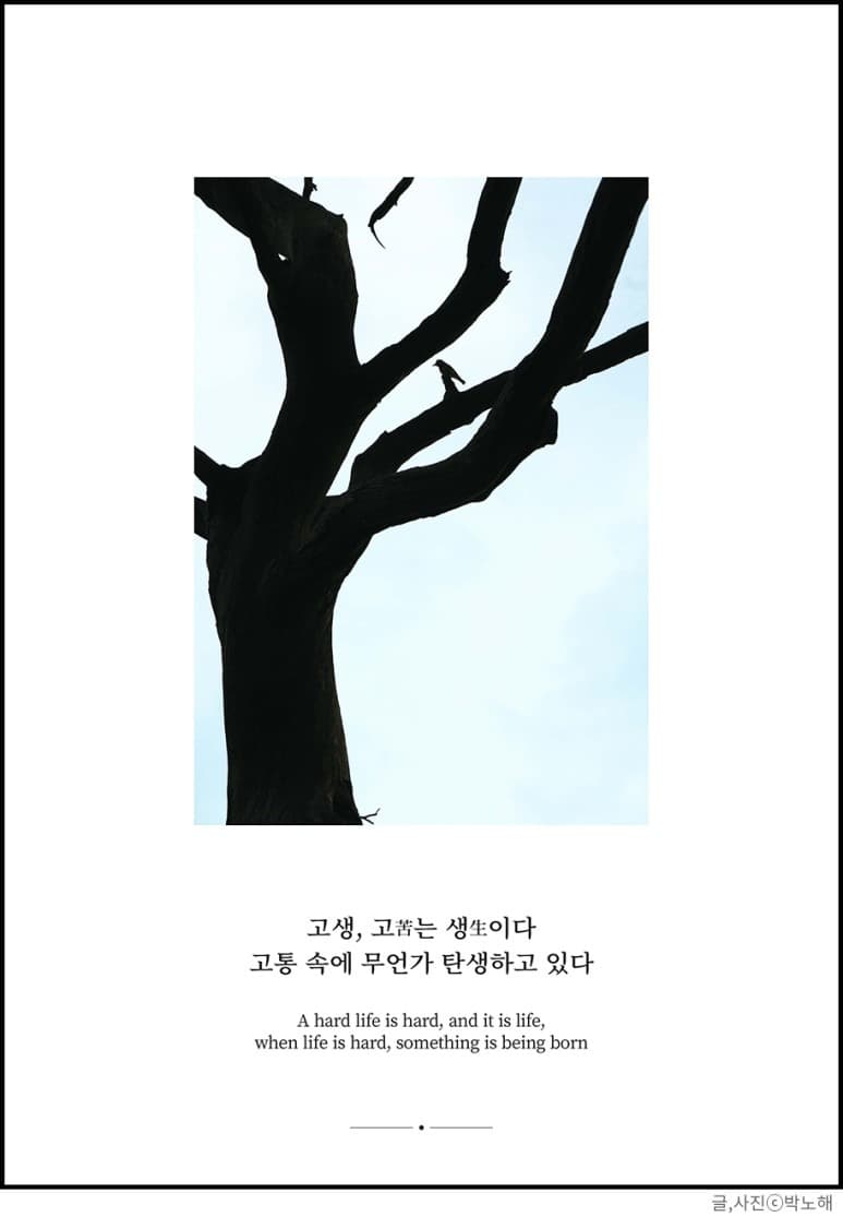 ⓒ박노해