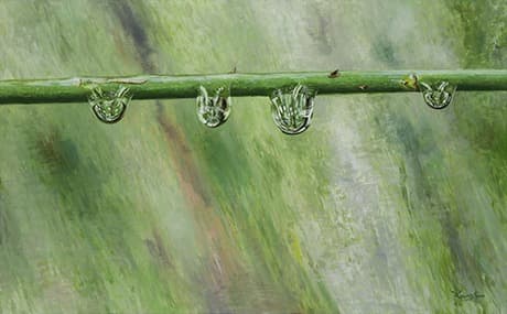 Natural Image · 캔버스에 유채 · 116.8 x 72.7 cm · 2020 (출처=선화랑) · Natural Image · Oil on canvas