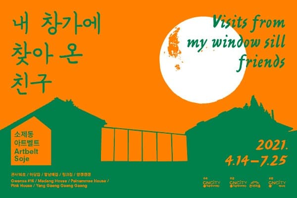 내 창가에 찾아 온 친구