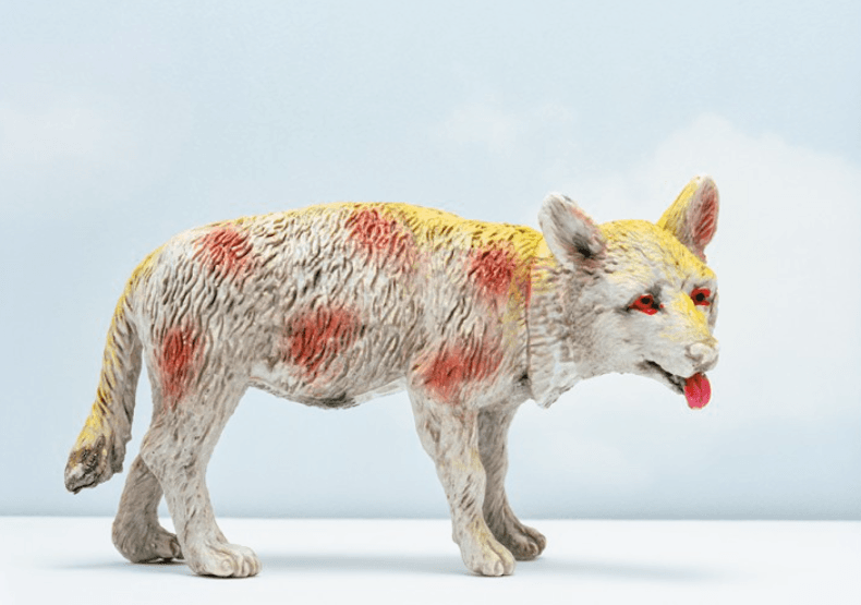 늑대? Wolf? · 120 * 964 cm · 2016 (출처= 서학동사진관) · Wolf?