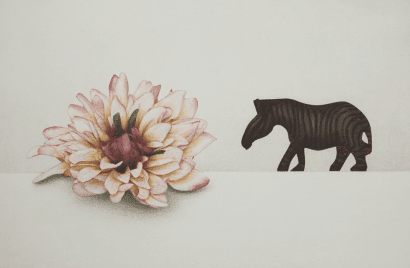 Flower & Zebra · Gum Bichromate Print · 90 * 120 · 2012 (출처= 김수강 홈페이지) · Flower & Zebra · Gum Bichromate Print