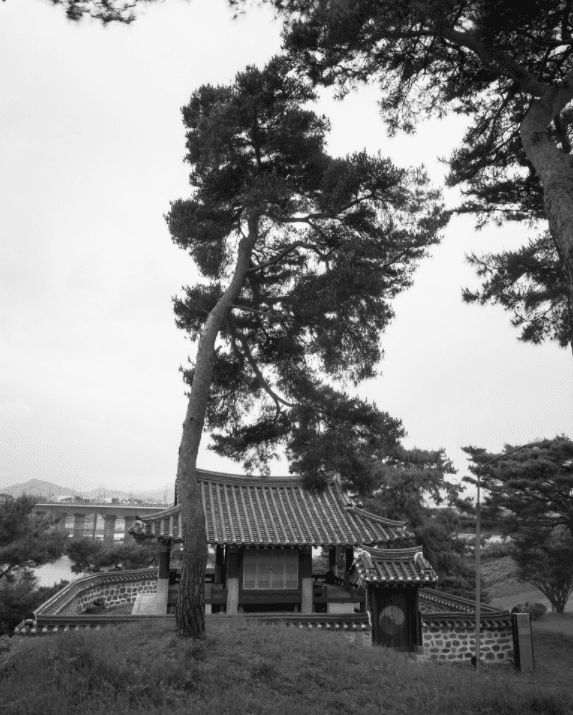충남세종 독락정 · 사진 · 50.8 * 60.9 cm · (출처= 갤러리 더빔)
