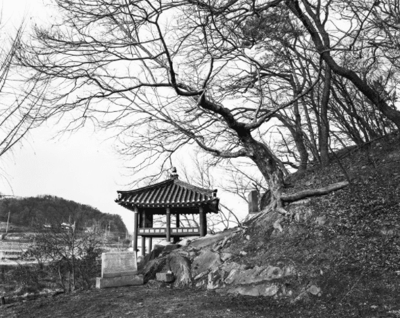 충남천안 노은정 · 사진 · 60.9 * 50.8 cm · (출처= 갤러리 더빔)