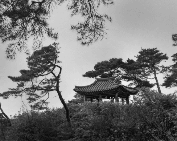 충북괴산 고산정 · 사진 · 50.8 * 60.9 cm · (출처= 갤러리 더빔)