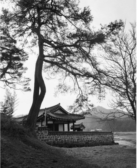 충북옥천 경율당 · 사진 · 60.9 * 50.8 cm · (출처= 갤러리 더빔)