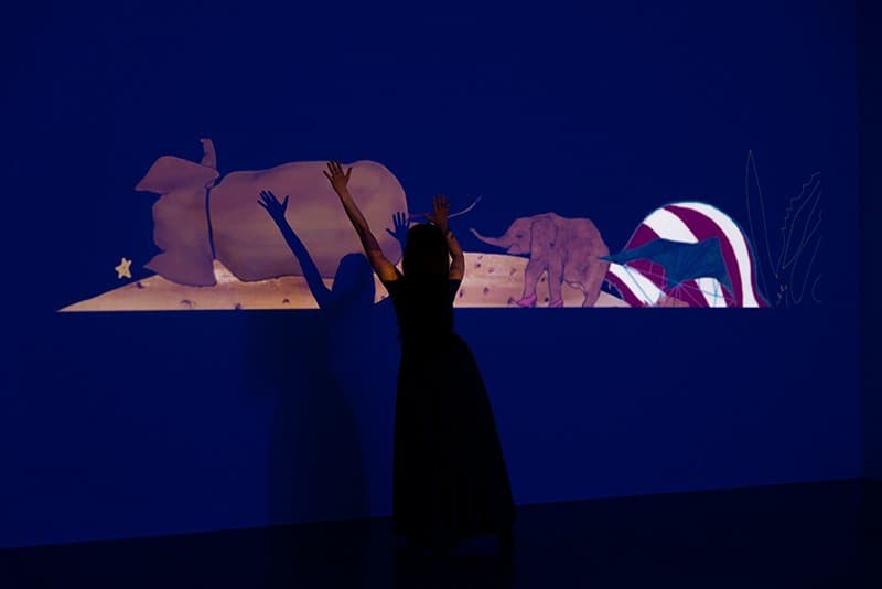 Treveling Trunk and Dreaming Cacti · video · 4분2초 · 2018 (이미지 제공 = 이상원 미술관) · Treveling Trunk and Dreaming Cacti