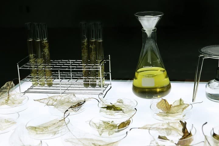 녹색의 파편#1 · Mixed media · Variable installation · 2021 (출처= 갤러리도스 블로그)