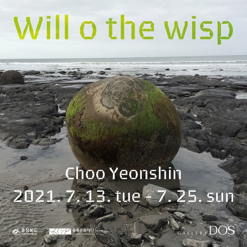 추연신 : Will o the wisp 포스터