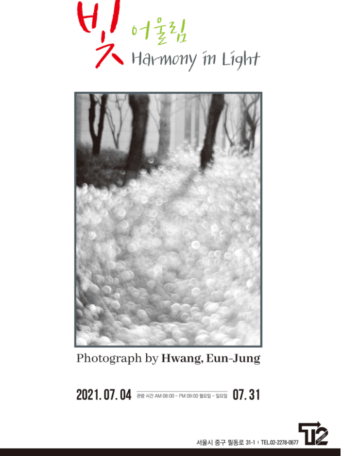 황은정 : 빛 어울림 Harmony in Light
