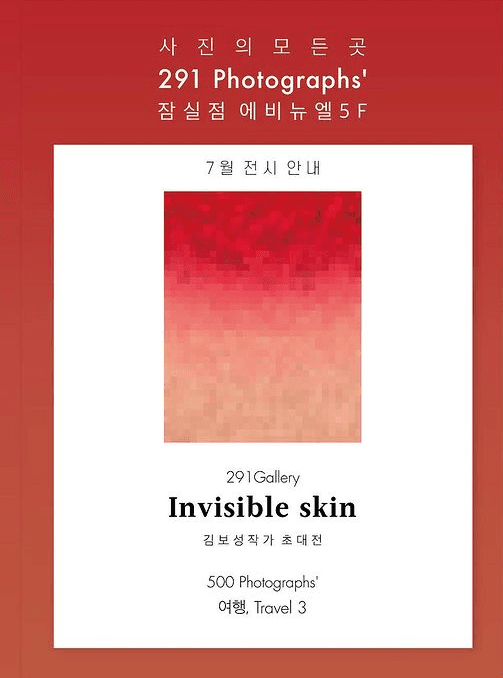 김보성 : Invisible skin
