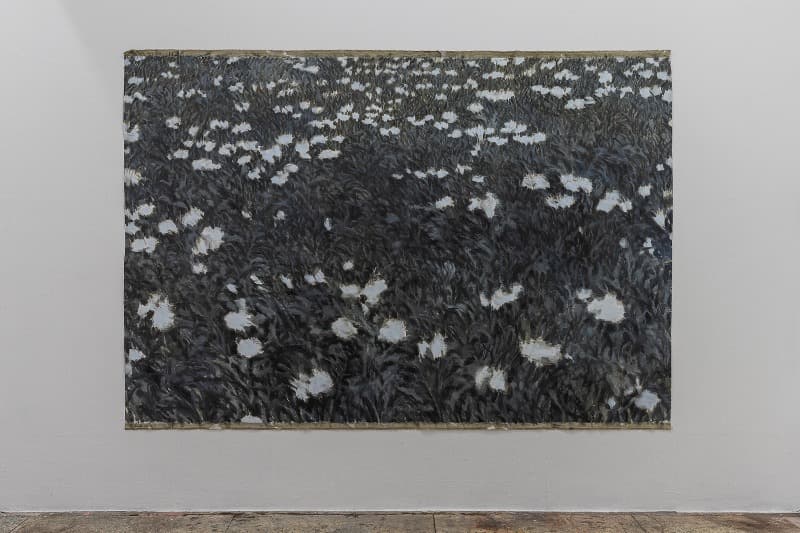흰자위의 · oil on linen · 160×242cm · 2020 (이미지 제공 = 프로젝트 스페이스 사루비아) · oil on linen