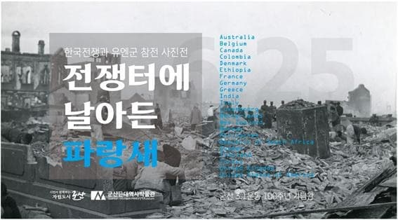전쟁터에 날아든 파랑새
