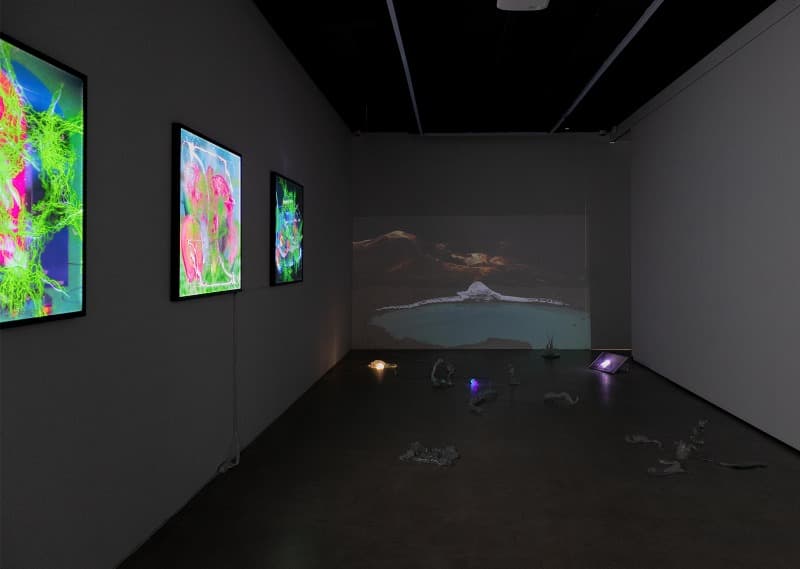 전시전경 · (출처=021갤러리) · installation view