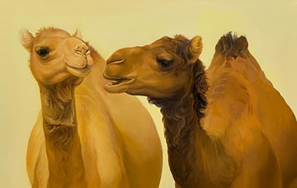 낙타 · 캔버스에 유채 · 53x33.4cm · 2021(출처=YTN남산갤러리) · Camels · Oil on canvas