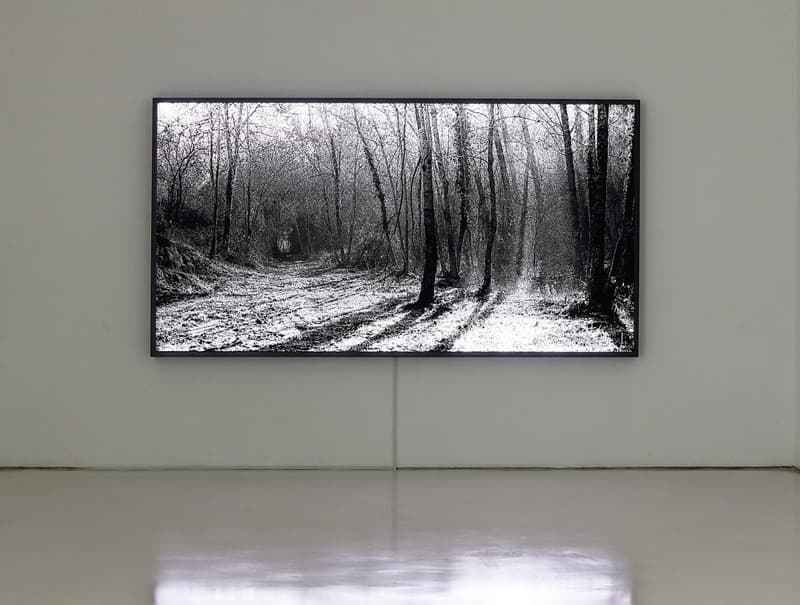 Emptiness_forest path 03 · LED, Laminate · 153x294.2x10.2cm · 2021 (출처= 봉산문화회관) · Emptiness_forest path 03 · LED, Laminate