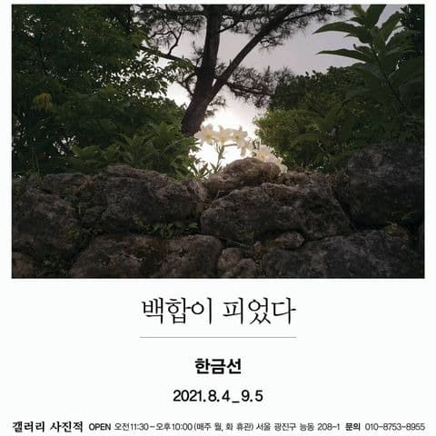 한금선 : 백합이 피었다