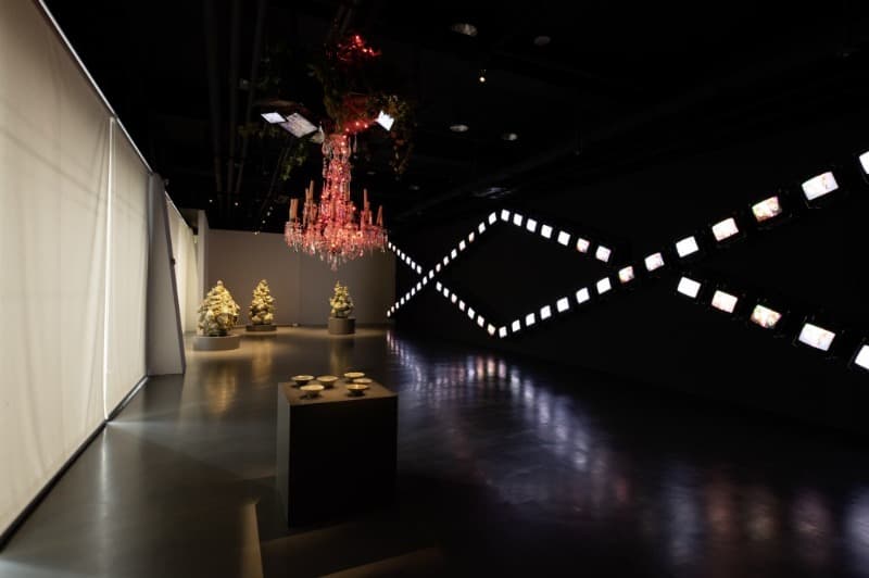 전시전경 · (출처=호림박물관) · installation view