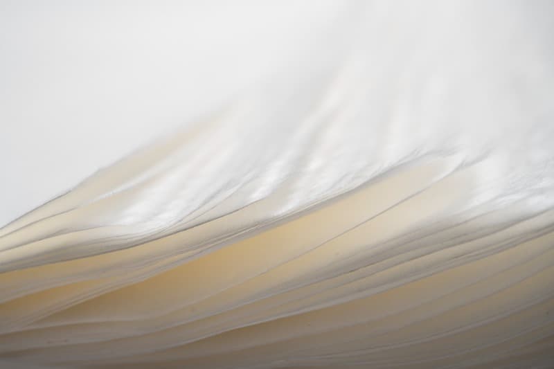 이야기의 이면 2 · Digital Pigment on Fine Art Paper · 100x150cm · 2021 (이미지 제공 = 갤러리 너트) · Digital Pigment on Fine Art Paper