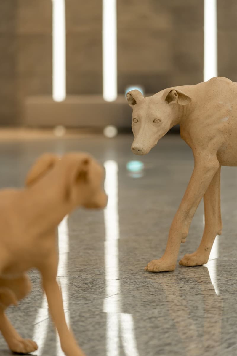 전시전경 · (출처=강아지숲) · installation view