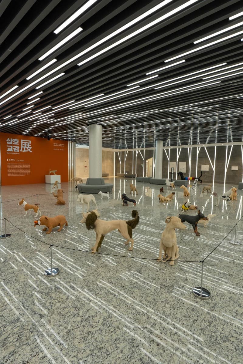 전시전경 · (출처=강아지숲) · installation view