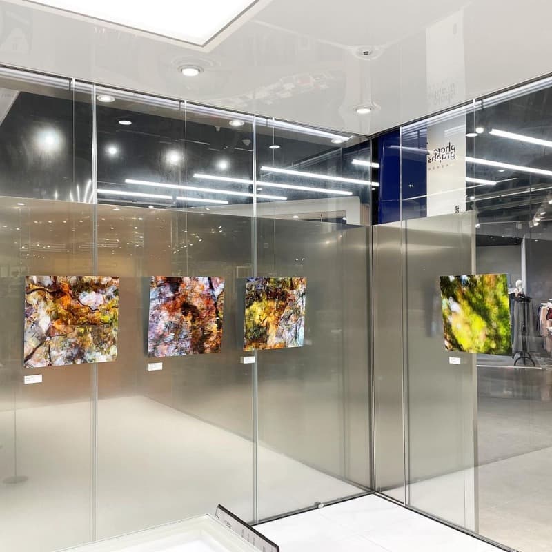 전시전경 · (출처=291포토그랩스) · installation view
