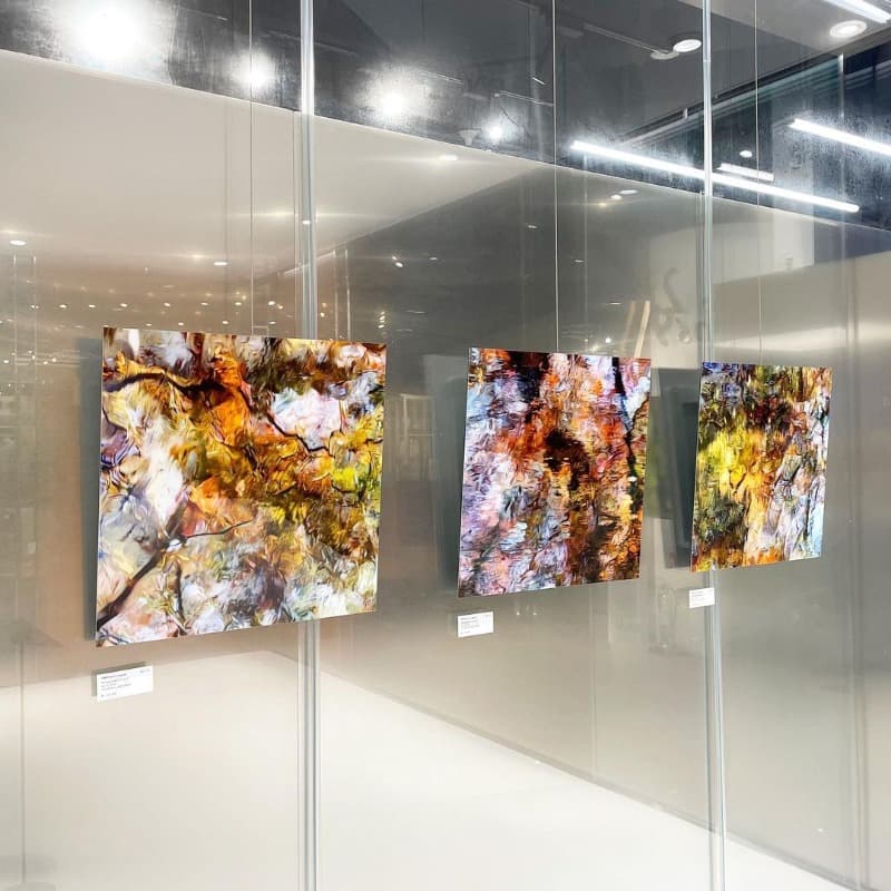 전시전경 · (출처=291포토그랩스) · installation view