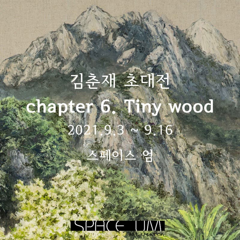 김춘재 : Chapter 6. Tiny wood 포스터