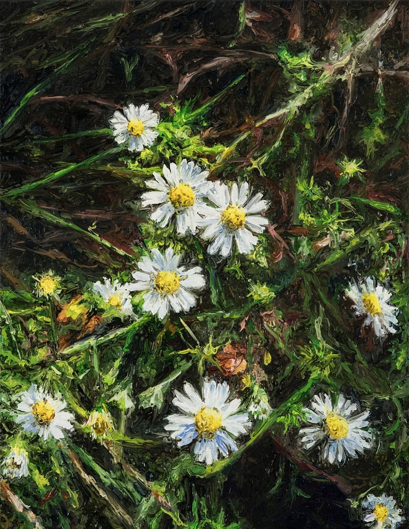들국화 · oil on canvas · 34.8X27.3cm · 2021 (이미지 제공 = 스페이스 엄) · wild chrysanthemum · oil on canvas