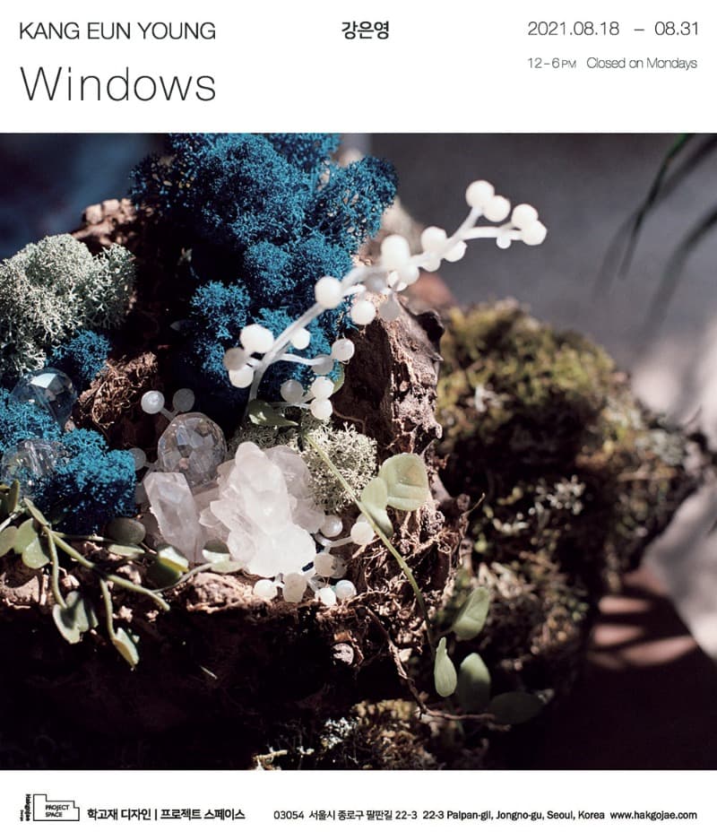 강은영: Windows