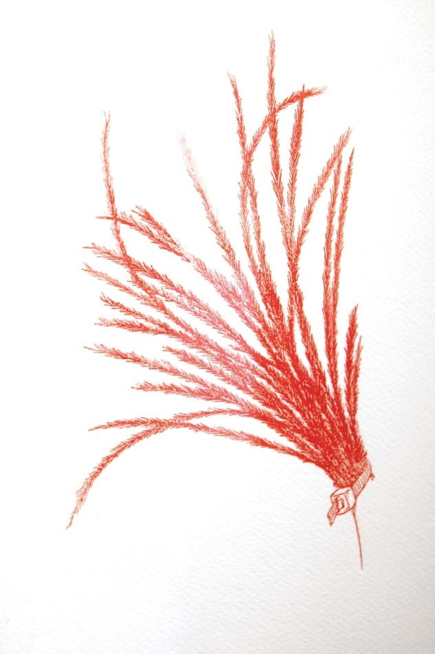 Stipa Wisteria (Layer 1) · 종이에 포토폴리머 · 28 x 19 cm · 2021 (출처= 학고재 디자인 프로젝트 스페이스) · Stipa Wisteria (Layer 1)