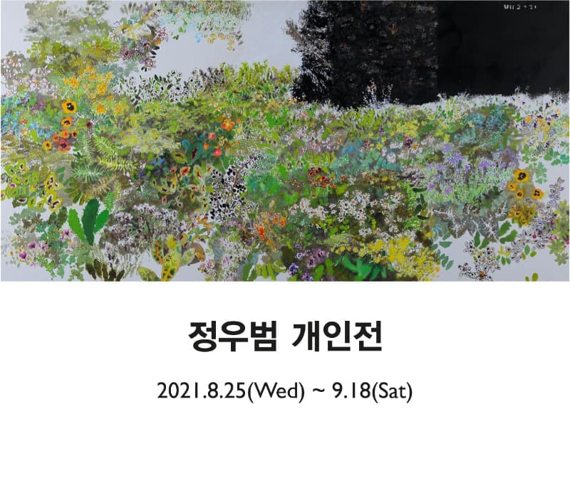 정우범 : Fantasia