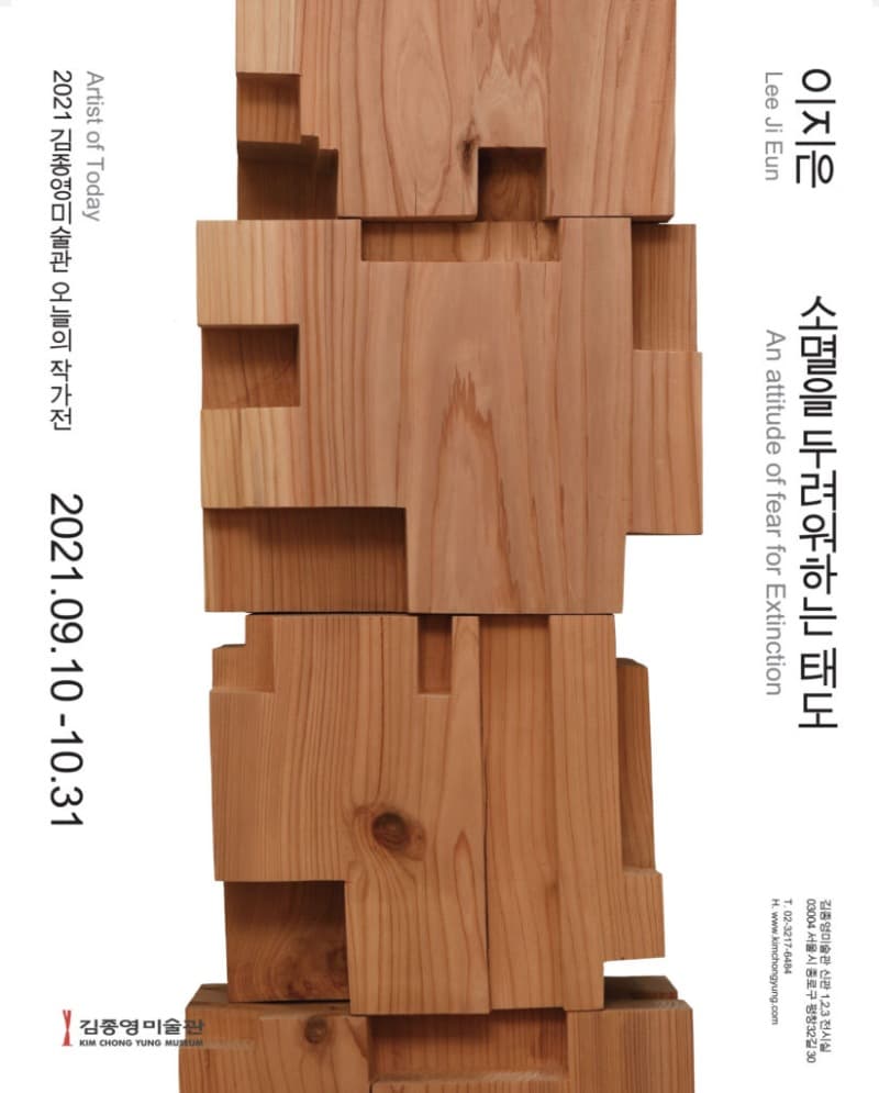 이지은 : 소멸을 두려워하는 태도 포스터