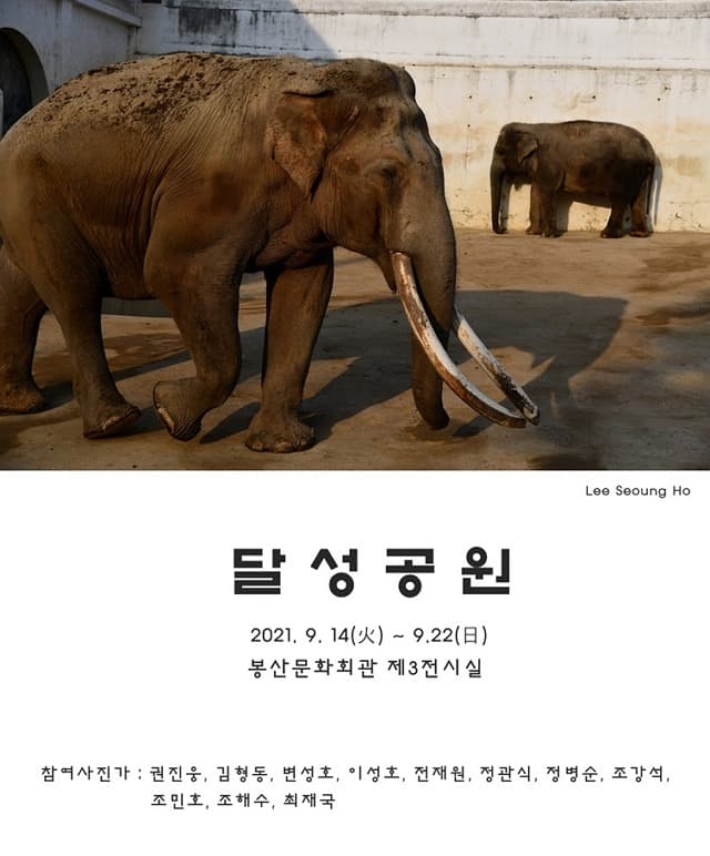 달성공원 프로젝트展 포스터