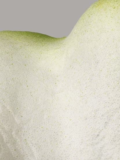 Bumping Surfaces – Calla C · 아카이벌 피그먼트 프린트 · 200 x 150 cm · 2021 (이미지 제공 = 두산갤러리) · Bumping Surfaces – Calla C · Archival Pigment Print
