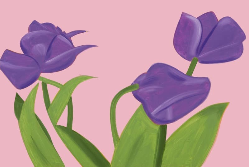 알렉스 카츠, Purple Tulips 1 · Archival pigment print on Innova Etching on Cotton Rag 315gsm · 79.5x119cm, Ed.100 · 2021 (출처= 신세계갤러리) · Purple Tulips 1 · Archival pigment print on Innova Etching on Cotton Rag 315gsm