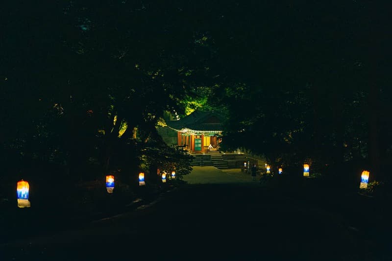 copyright ©K.CHAE All rights reserved.