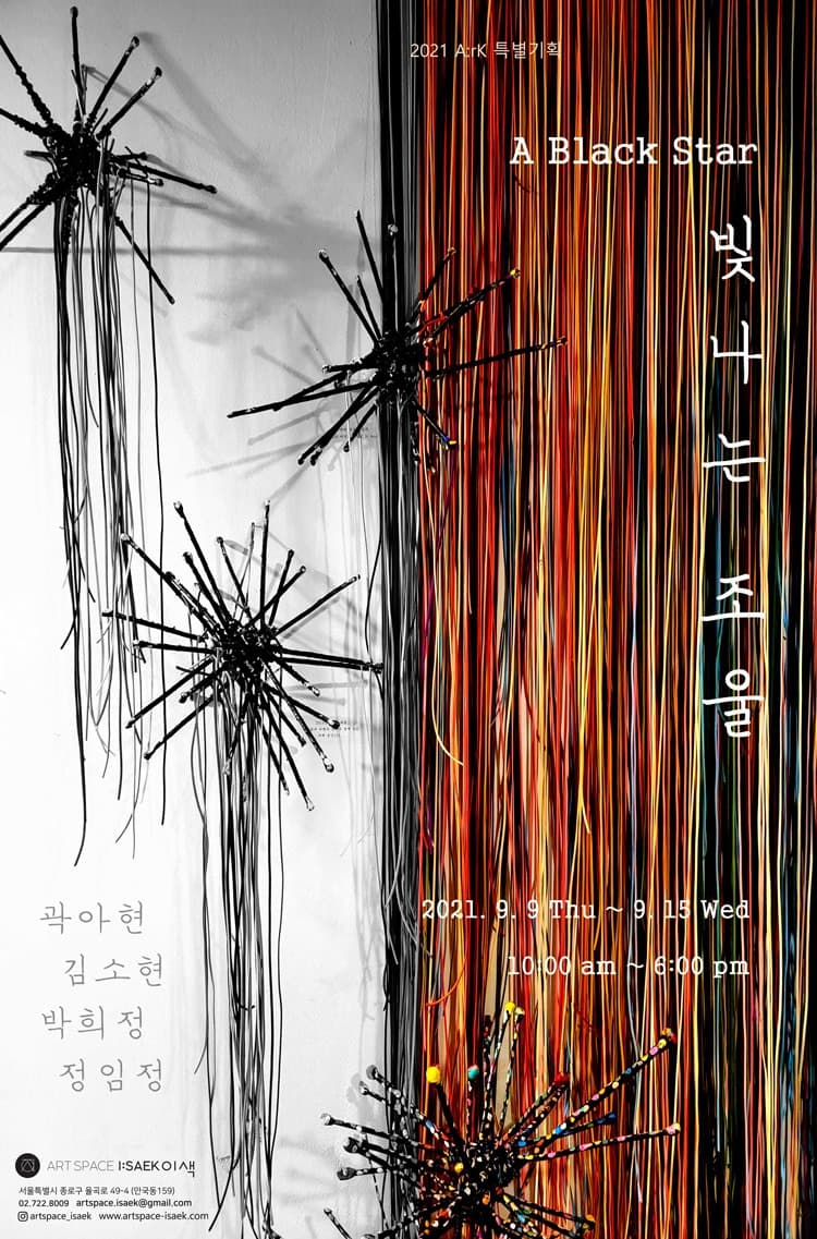 빛나는 조울 A Black Star 포스터