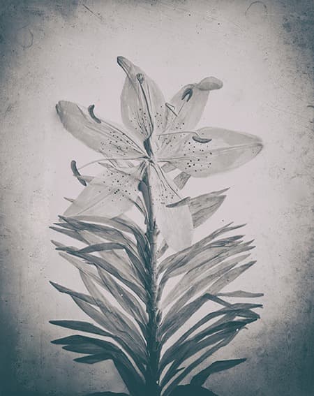 구성수 : 향연