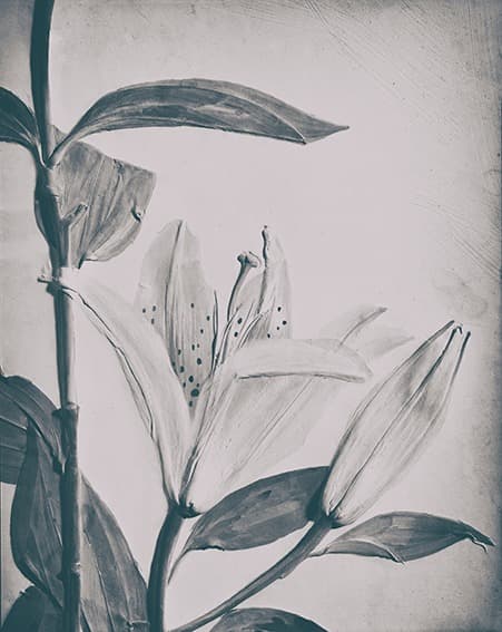 향연, 포토제닉 드로잉시리즈 A22 · 40cmx49cm