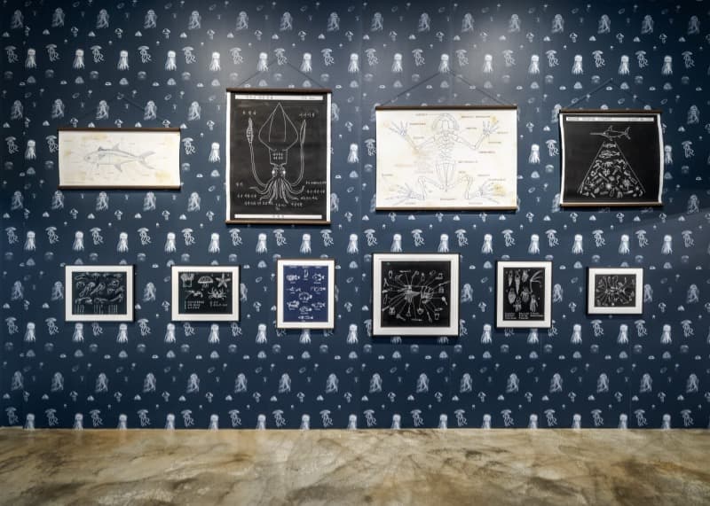 Installation View · (출처=바라캇 컨템포러리) · Installation View