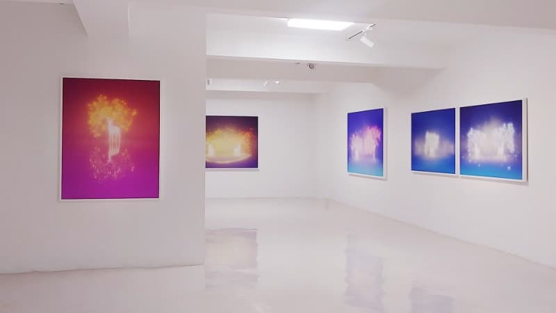 전시전경 · (출처= 갤러리나우)