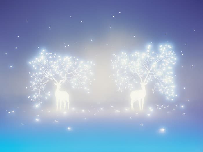 Luca 50 · C-print · 90x120cm, 120x160cm · 2021 (출처= 갤러리나우) · Luca 50 · C-print