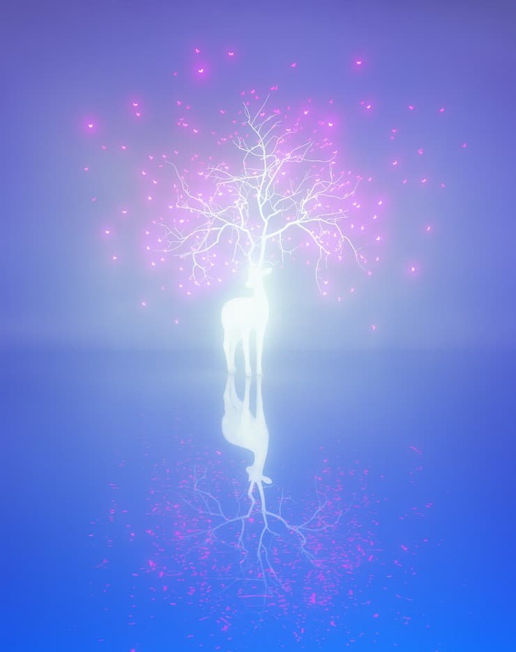 Luca 31 · C-print · 120x95cm, 152x120cm · 2021 (출처= 갤러리나우) · Luca 31 · C-print